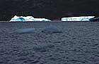 Sea Icebergs